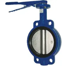 Butterfly valve