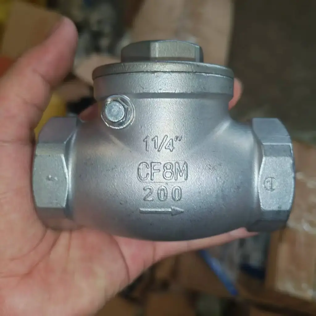Swing check valve 